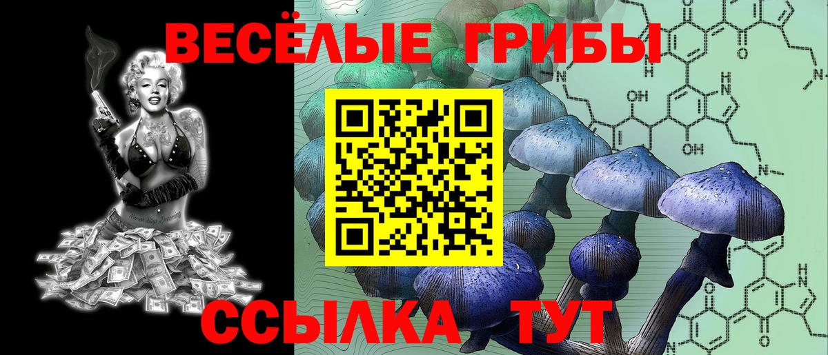 Галлюциногенные грибы Cubensis Йошкар-Ола
